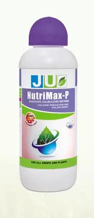 Ju Nutrimax P Bio Fertilizers At Best Price In Indore By J U Agri