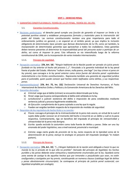 Efip Penal Txd Efip 1 Efip 1 Derecho Penal 1 GarantÍas