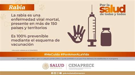 Emiten Aviso Epidemiológico Por Casos De Rabia En México