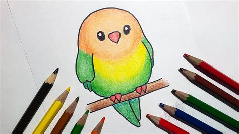 How To Draw A Cartoon Parrot Step By Step Youtube