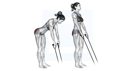 Frog Hip Thrust Guide Benefits And Form