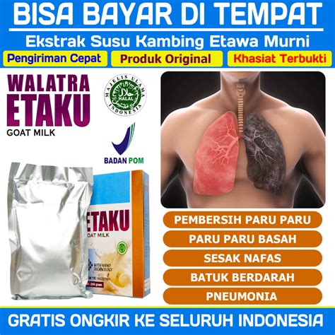 Jual Susu Pembersih Paru Paru Perokok Berat TBC Asma Sesak Nafas