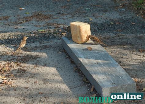 2472-1 - Волинь Online