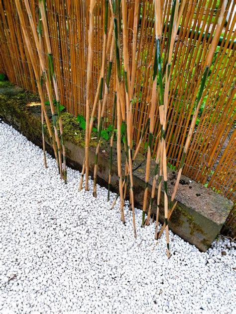 JAPANSE TUIN ideeën je eigen kleine Japanse tuin maken