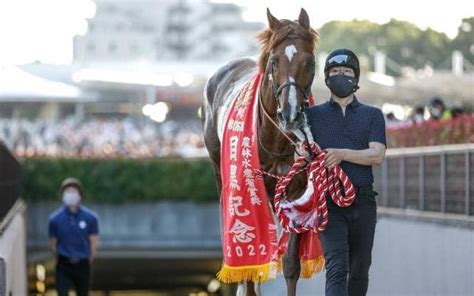 【京都大賞典出走馬・騎手確定】ボッケリーニ＆浜中俊騎手、アリストテレス＆鮫島克駿騎手など14頭 その他競技 スポーツブル スポブル