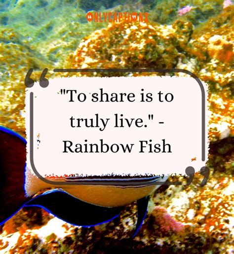 230+ Quotes From Rainbow Fish (2025) Make Waves