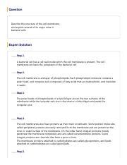 Answered Describe The Structure Of The Cell Bartleby Pdf Question