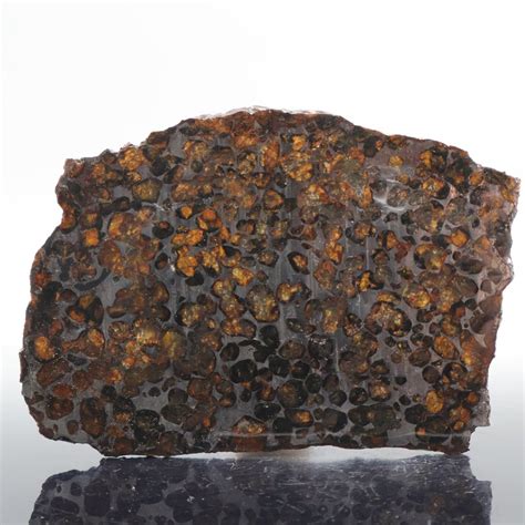 Sericho Meteorite Pallasite Complete Piece 123 G Catawiki