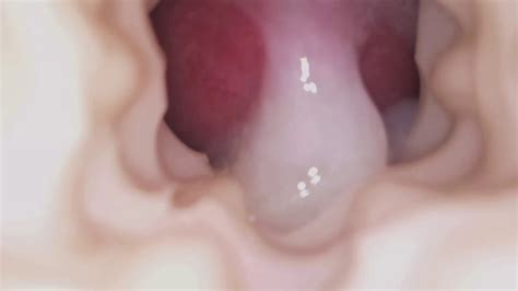 Cumming Inside My Fleshlight Gay Amateur Amateur Porn Feat Karl Ste Xhamster