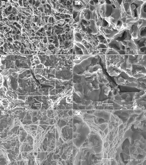 Sem Fractographs Of Specimens A A As Extruded B B As Thixocast