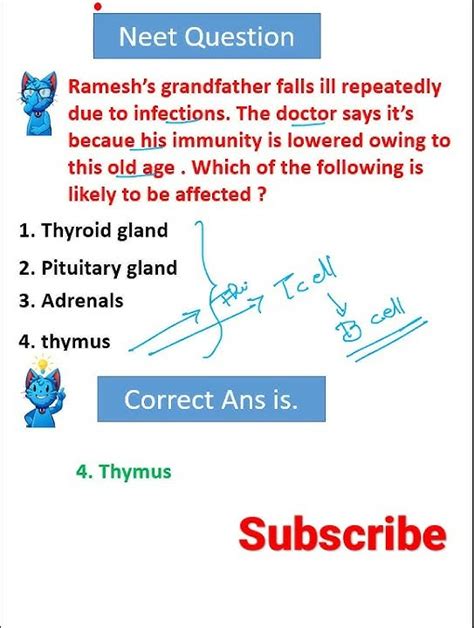 Biology Mcq Neet Class 12th Immune System Thymus Gland Important Question Shorts Youtube