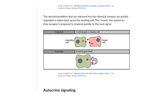 Introduction To Cell Signaling Article Khan Academy Pdf