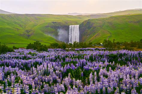 5 Things To Know About Skogafoss Waterfall Iceland - Iceland Trippers