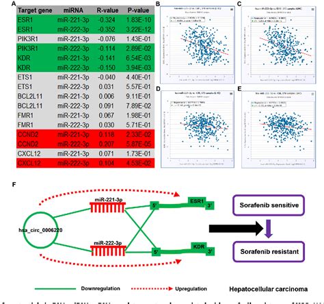 Figure From Bioinformatic Analysis Shows The Correlation Of Hsa Circ