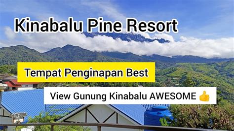 Vlog Kinabalu Pine Resortthe Best Ever Resortview Gunung Kinabalu