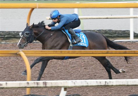 【注目馬動向】ソウルラッシュが香港マイルへの招待を受諾 昨年4着に続き2年連続の参戦 Umatoku 馬トク