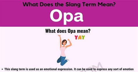 opa definition    internet term opa   stand