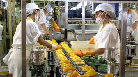 Bolsa de Trabajo como Operador de producción en la industria