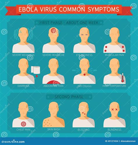 Common Ebola Virus Symptoms Vector Infographic Stock Vector Image