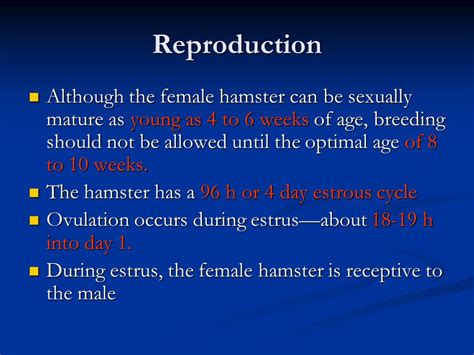 Hamsters Biology And Anatomy Ppt Video Online Download