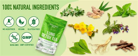 Lung Detox Tea – Mullein Tea Bags for Lungs Cleanse and Respiratory Health with Mullein Leaf ...