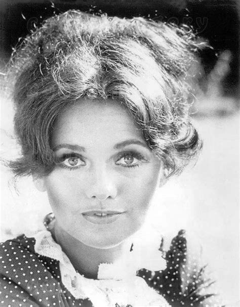 Dawn Wells Hot Photos Barnorama