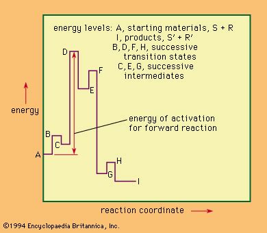 Reaction mechanism - Unimolecular, Kinetics, Enzymes | Britannica