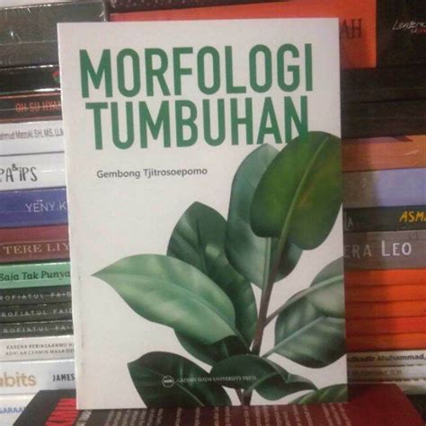 Buku MORFOLOGI TUMBUHAN By Gembong Tjitrosoepomo Lazada Indonesia