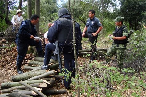 Pobladores de Temascaltepec logran liberación de talamontes tras causar