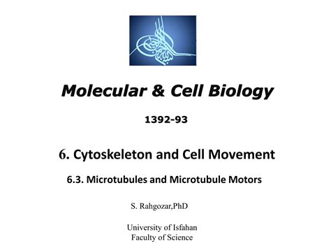 12 Microtubules Cell Biology Ppt Free Download