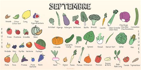 Les fruits et légumes de septembre - Fiches pratiques du jardin