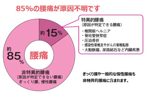 腰痛でお悩みの方 豊川市豊橋市で はり、整体｜はりまる鍼灸院