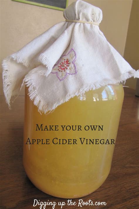 Make Your Own Apple Cider Vinegar Its Cheap Easy And Rewarding Its A Great Project To Kick