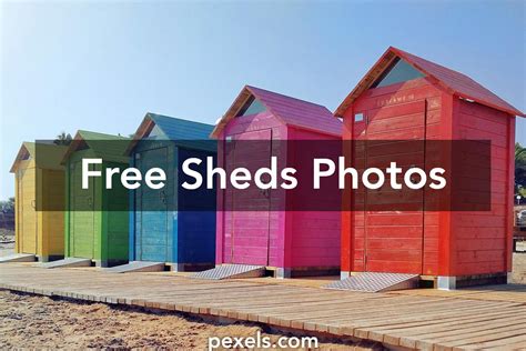 engaging sheds  pexels  stock