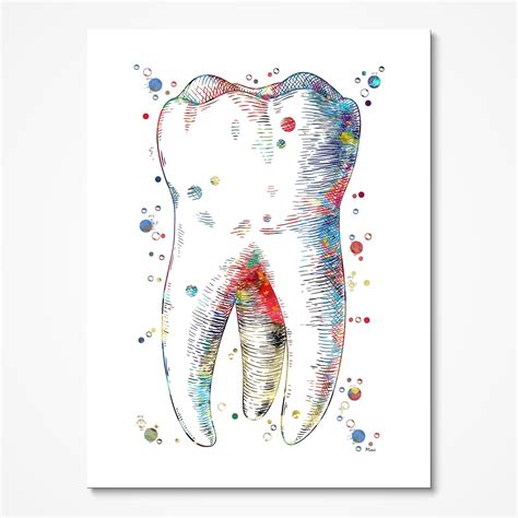 Molar Tooth Abstract Anatomy Watercolor Print Dental Art Dentist Clinic