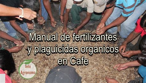 Manual De Fertilizantes Y Plaguicidas Organicos En Cafe Infoagronomo