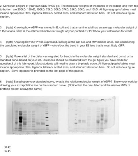 Solved The SDS PAGE Sample Loading Buffer Contains 47 OFF