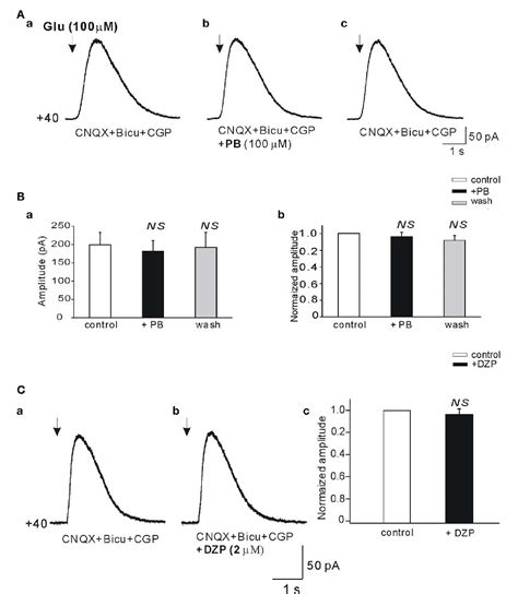 Figure 1 From Cellular Neuroscience Original Research Article