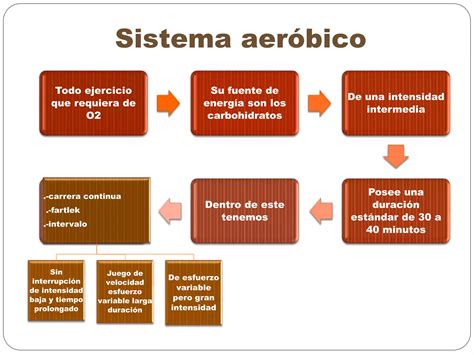 Diferencia Entre Aerobico Y Anaerobico 3