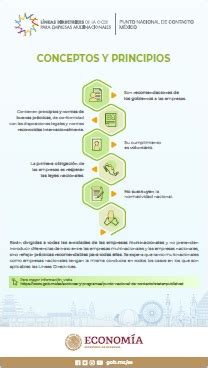 Infografías Líneas Directrices de la OCDE para Empresas