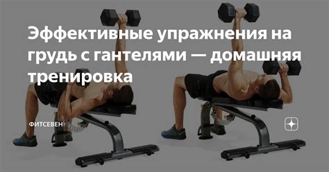 Эффективные упражнения на грудь с гантелями — домашняя тренировка ...