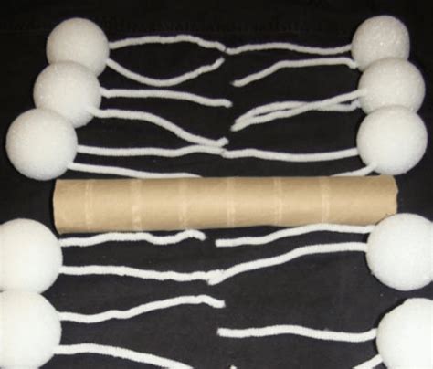 Cell Membrane Model – Perkins School for the Blind