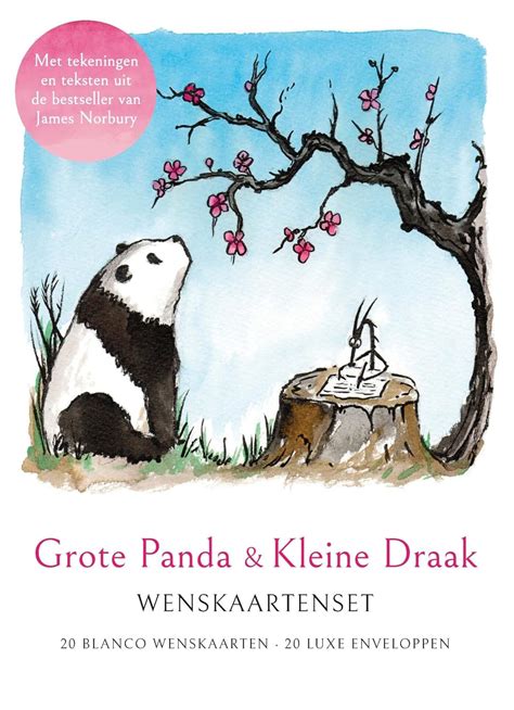 Grote Panda Kleine Draak Kaartenset Amazon Co Uk Norbury James