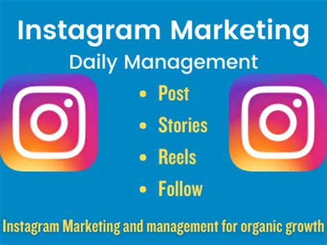 Instagram Marketing And Management For Organic Growth Upwork