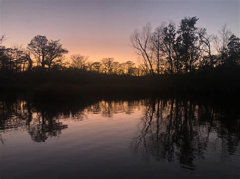 Swamp Tours | Hunting Swamp Rodents