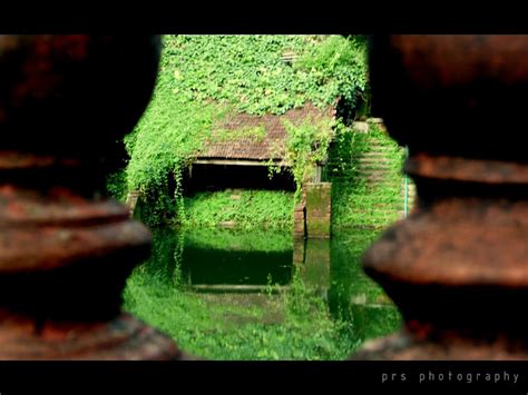 prs photography !: Hill Palace Kochi