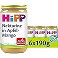 Hipp F R Kleine Feinschmecker Nektarine In Apfel Mango Ohne