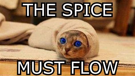 The Spice Must Flow Know Your Meme