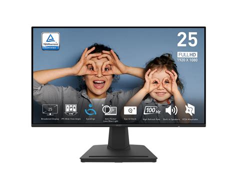 PRO MP252 Professional Business Monitor For Work And Home MSI