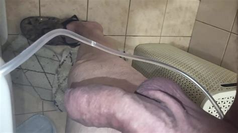 Asss Free Gay Amateur HD Videos Porn Video XHamster